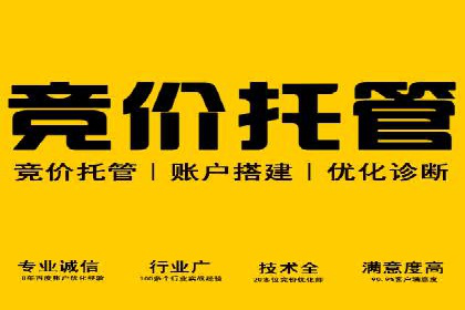 深度解析百度竞价包年服务：某行业领先企业的营销策略